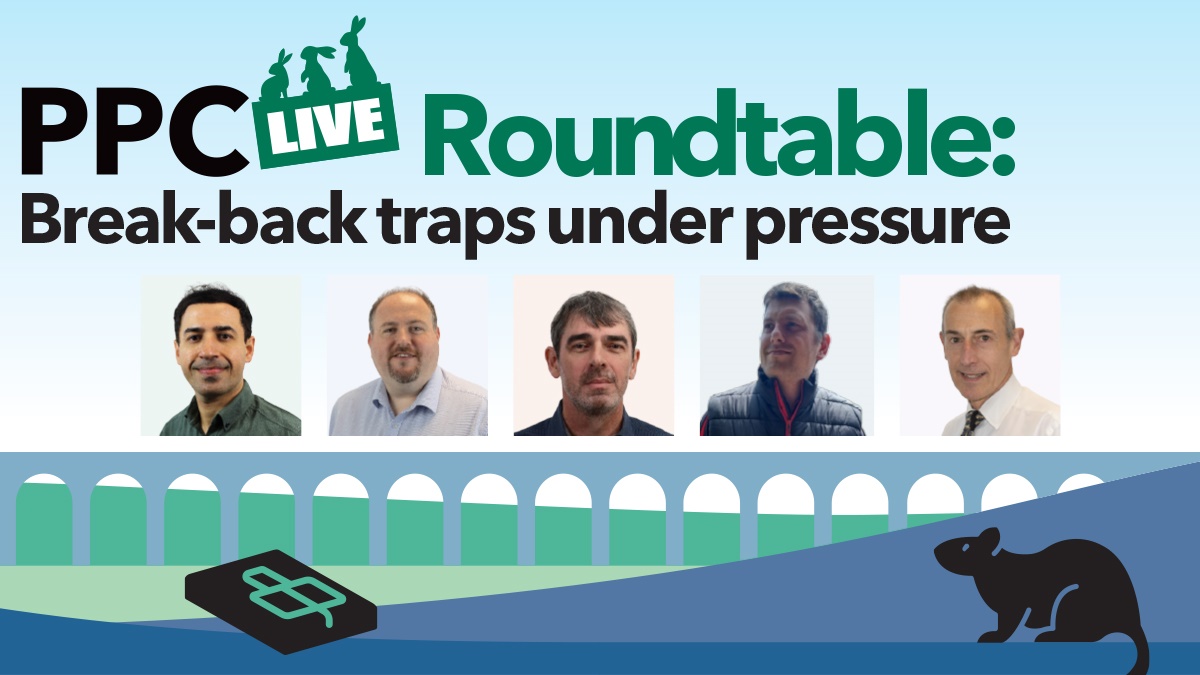 Break back hero Break back hero